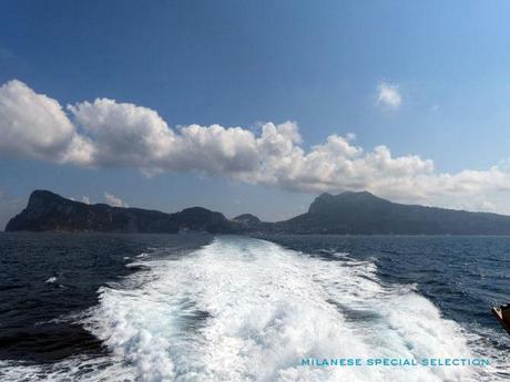 Fini les vacances ! vacances rentrée Capri capri by milanese special selection 1 Fini les vacances !