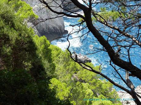 Fini les vacances ! vacances rentrée Capri capri by milanese special selection 11 Fini les vacances !