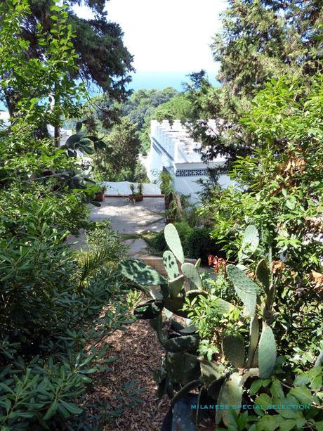 Fini les vacances ! vacances rentrée Capri capri by milanese special selection 4 Fini les vacances !