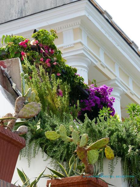 Fini les vacances ! vacances rentrée Capri capri by milanese special selection 7 Fini les vacances !