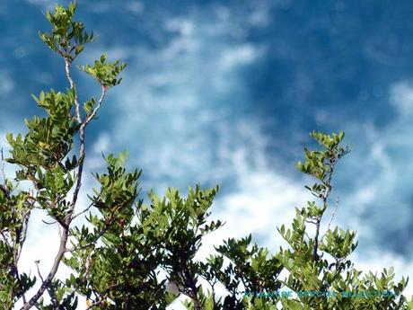 Fini les vacances ! vacances rentrée Capri capri by milanese special selection 9 Fini les vacances !