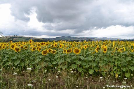 J'aime l'Auvergne ! J'aime l'Auvergne !