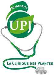 CLINIQUE DES PLANTES : Consultations indolores pour toutes les plantes à Saint Jean de Beauregard du 26 au 28 septembre