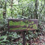 Refugio Amazonas : activités dans la jungle