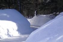 Québec : patiner dans une forêt bien perdue Québec : patiner dans une forêt bien perdue