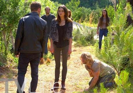 Rentrée 2014 : Des photos inédites sur le retour des séries ! Rentrée 2014 : Des photos inédites sur le retour des séries !