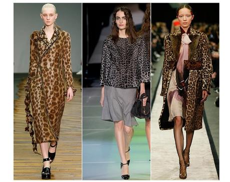 Tendances Automne Hiver 2014-2015 l_opard__28486479_north_883x