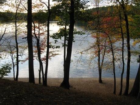 Une BD naturaliste Walden_Pond_in_October,_Concord_MA.jpg