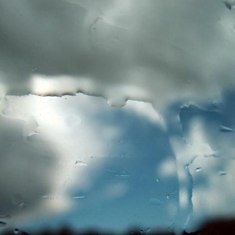 Bye-bye mon lapin Bye-bye mon lapin