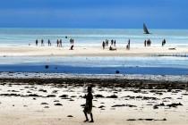 Les Massaï s’occidentalisent à Zanzibar Les Massaï s’occidentalisent à Zanzibar