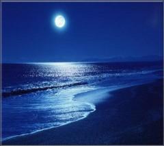 Je suis Littérature