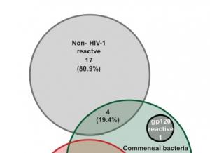 VIH: Le microbiote intestinal parfois complice de l'infection – Cell Host & Microbe