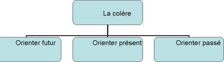 L'émotion de colère L'émotion de colère