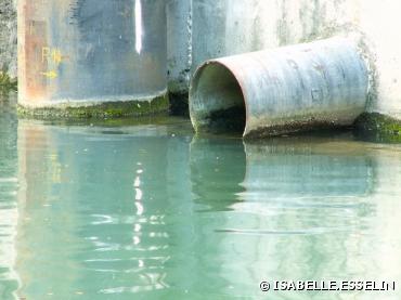 Pollution des eaux par les nitrates : l'UE condamne à nouveau la France