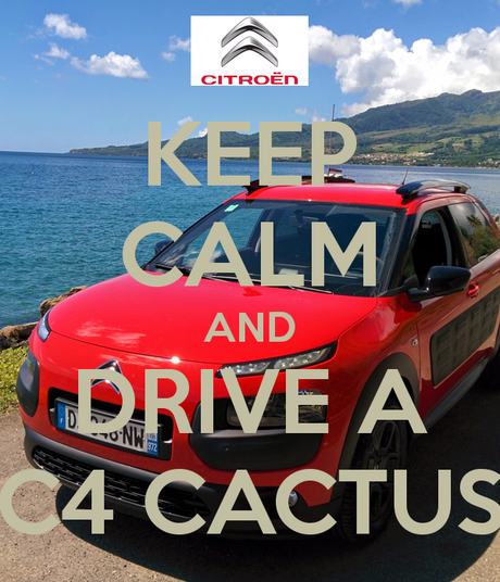 Keep calm and... Drive a C4 Cactus