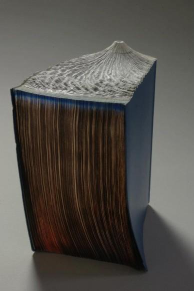 guy-laramee-sculpture sur livre mogwaii (42)