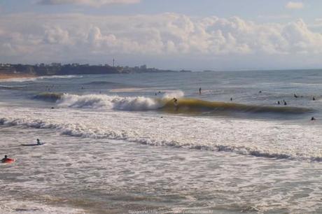observer-les-vagues-surf-anglet-landes21_gagaone