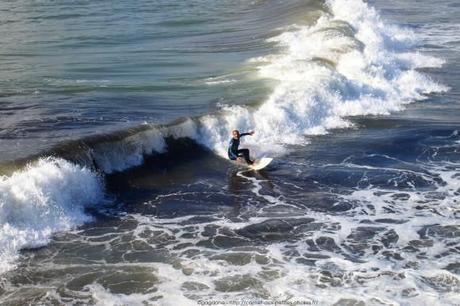 observer-les-vagues-surf-anglet-landes27_gagaone