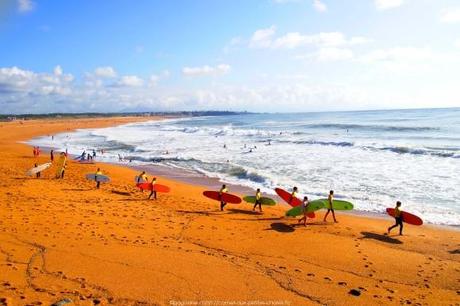 observer-les-vagues-surf-anglet-landes22_gagaone