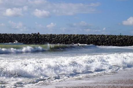 observer-les-vagues-surf-anglet-landes15_gagaone