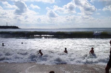 observer-les-vagues-surf-anglet-landes7_gagaone