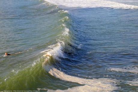 observer-les-vagues-surf-anglet-landes26_gagaone