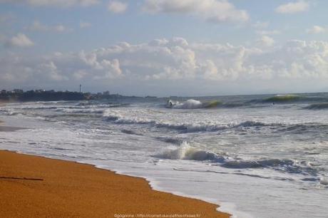 observer-les-vagues-surf-anglet-landes36_gagaone