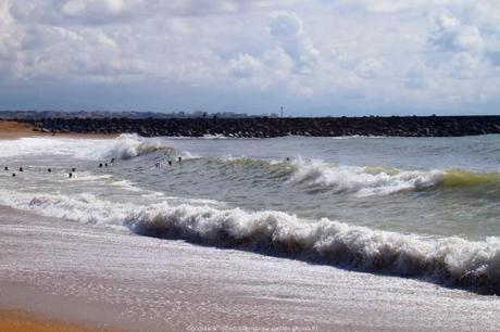 observer-les-vagues-surf-anglet-landes2_gagaone