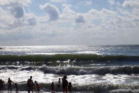 observer-les-vagues-surf-anglet-landes12_gagaone