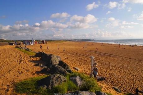 observer-les-vagues-surf-anglet-landes39_gagaone