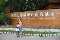 Les pandas de Chengdu, trésor de la Chine Les pandas de Chengdu, trésor de la Chine