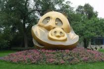 Les pandas de Chengdu, trésor de la Chine Les pandas de Chengdu, trésor de la Chine