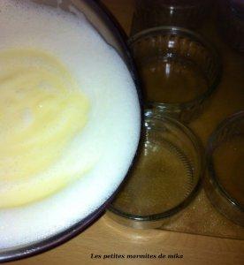 Flan aux raisins Flan aux raisins