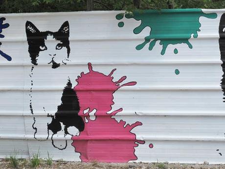 cfa1.JPG, sept. 2014 cfa1.JPG