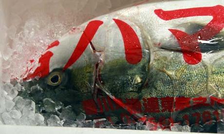 tsujiki-market-poisson Tsujiki Market poisson