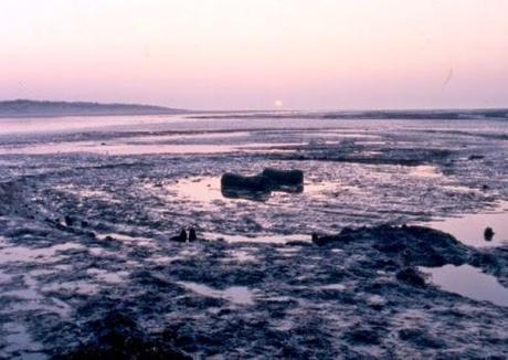 Angleterre: un deuxième cercle de bois daté de la même période que Seahenge Angleterre: un deuxième cercle de bois daté de la même période que Seahenge