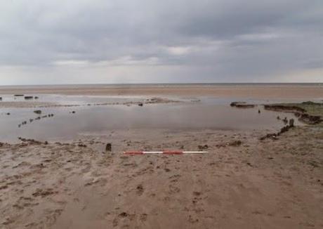 Angleterre: un deuxième cercle de bois daté de la même période que Seahenge Angleterre: un deuxième cercle de bois daté de la même période que Seahenge