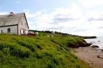 Canada : l’île Bonaventure, paradis des Fous de Bassan Canada : l’île Bonaventure, paradis des Fous de Bassan