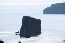 Canada : l’île Bonaventure, paradis des Fous de Bassan Canada : l’île Bonaventure, paradis des Fous de Bassan