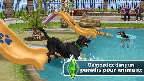 Les chiens remuent la queue et les chats ronronnent sur les Sims Gratuit sur iPhone