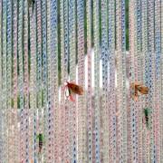 Exposition « D’ici là » Marie Sirgue à la Plateforme d’Art de Muret Exposition « D’ici là » Marie Sirgue à la Plateforme d’Art de Muret