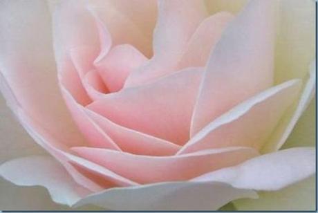 Samedi douceur-femmes-nest-rien-regard-douceur-chris-L-1.jpeg