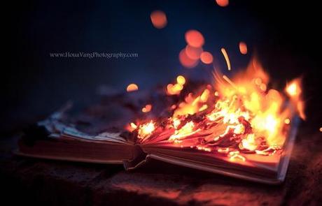 burn, book, burning, livre, feu, brûler, autodafé, censure, censorship, fahrenheit 451