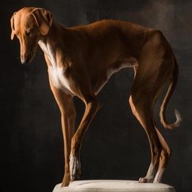 fdb7fca637a1376b939e805c00a187c0 fdb7fca637a1376b939e805c00a187c0