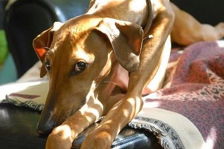 3326556770_683ff1e5d9 3326556770_683ff1e5d9