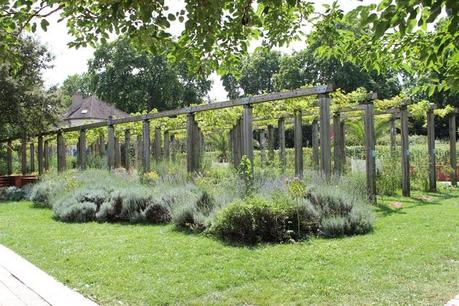 parc de bercy paris,12ème arrondissement paris,paris bucolique,balade insolite paris,jardin yitzhak rabin,parc paris