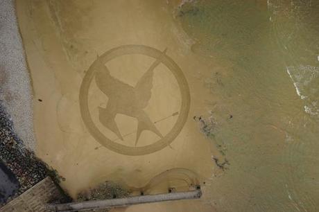 Hunger Games 3: des logos géants sur les plages de Normandie Omaha-aerienne-Geai-Moqueur