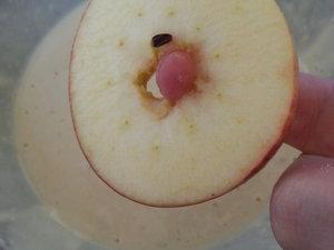 Beignets aux pommes (sans repos de la pâte)