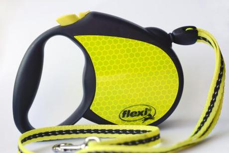 Balade nocturne lumineuse avec flexi neon Balade nocturne lumineuse avec Flexi Neon - Le tests d' Howard le chichi - BLOG