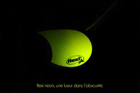 Balade nocturne lumineuse avec flexi neon Balade nocturne lumineuse avec Flexi Neon